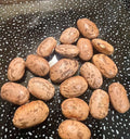 Pinto (Phaseolus Vulgaris) Beans Seeds Drought-Tolerant